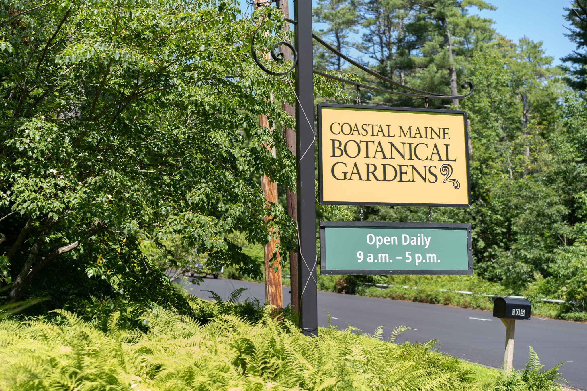 I went crazy over the Botanical Gardens in Boothbay Harbor Maine